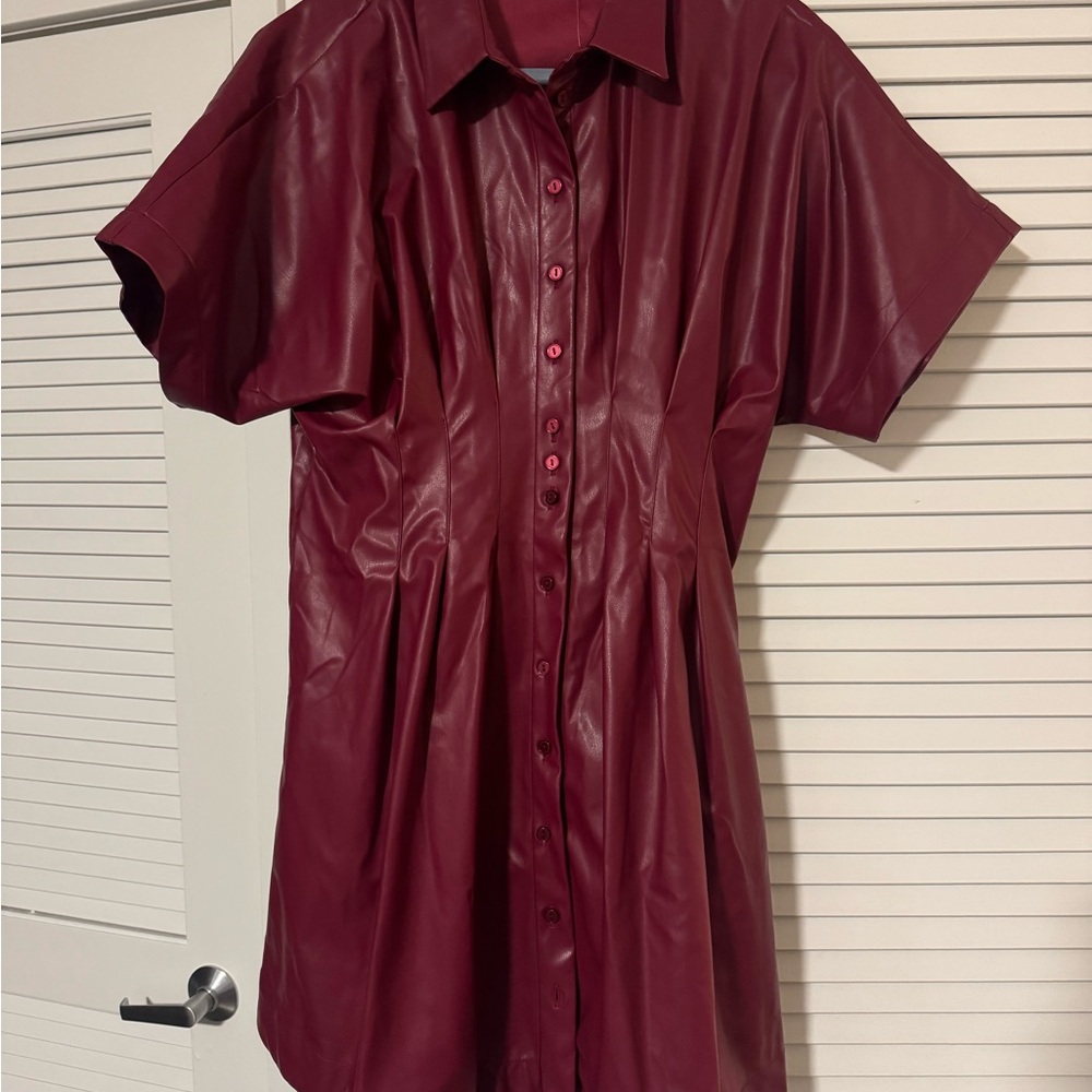 Anthropologie Tobie dress in red leather